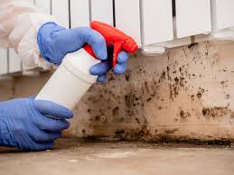 Mold Removal for HVAC Installations in Algonquin, IL